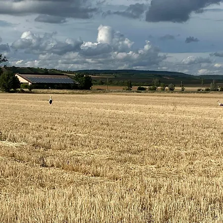 Appartamento Bobs Basement