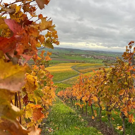 Bobs Basement Bad Windsheim