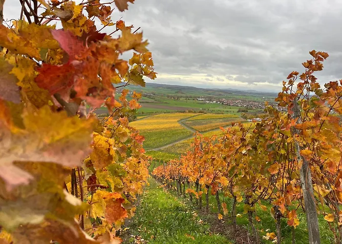 Bobs Basement Bad Windsheim