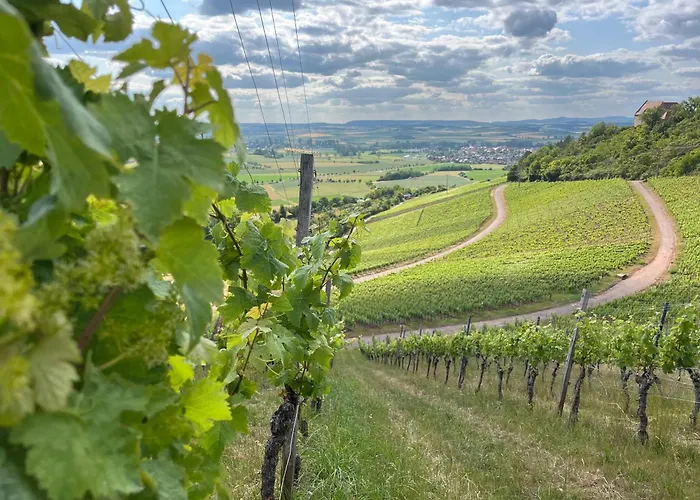 Bobs Basement Appartamento *