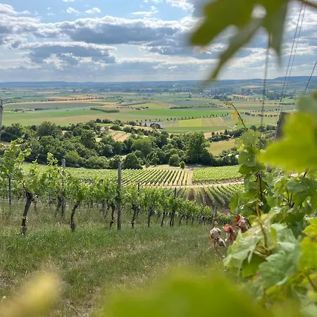 Bobs Basement Apartment *