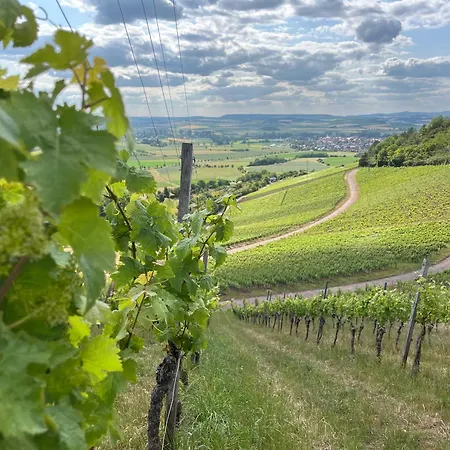 Bobs Basement Apartment *