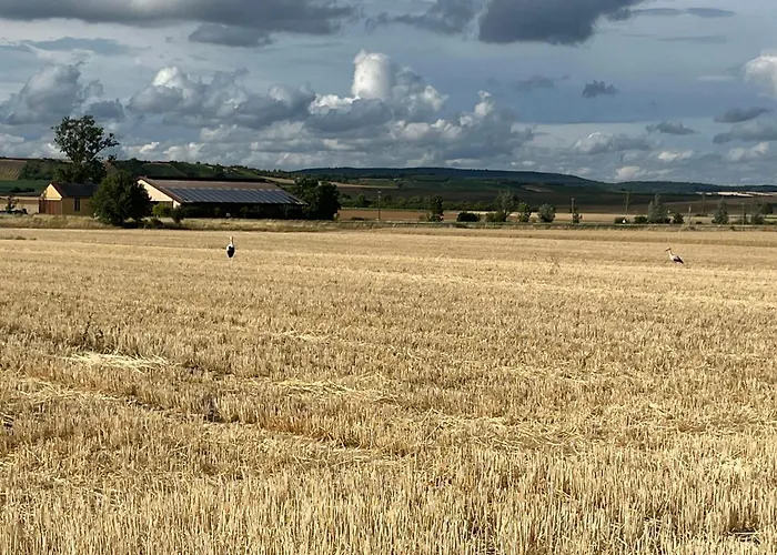 Apartment Bobs Basement