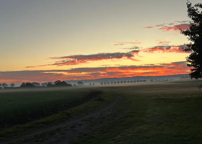 Apartment Bobs Basement