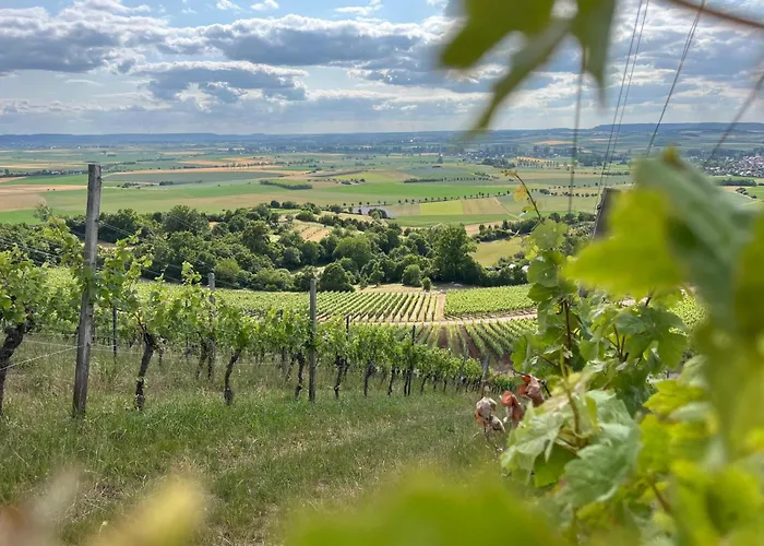 Bobs Basement Apartment *