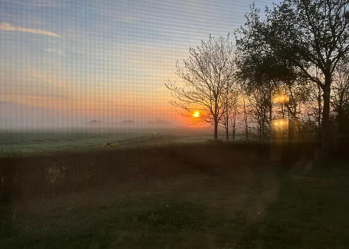 Bobs Basement Apartment